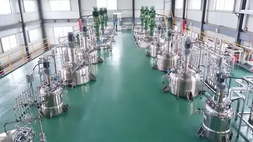 Культивирование Bacillus